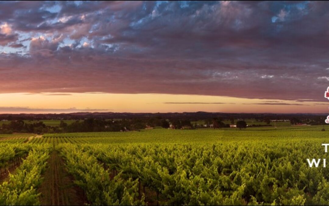 Treasury Wine Estates: Luxury Wine Vault