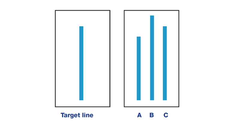 Making the Social Proof Bias work hard for your loyalty program